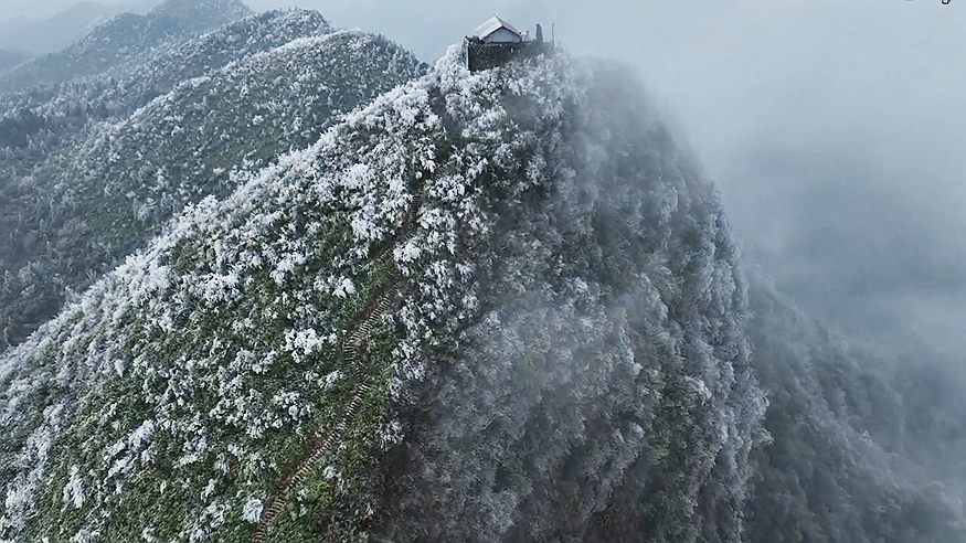 重庆酉阳：一夜冰雪童话 雾凇装点玉树琼花